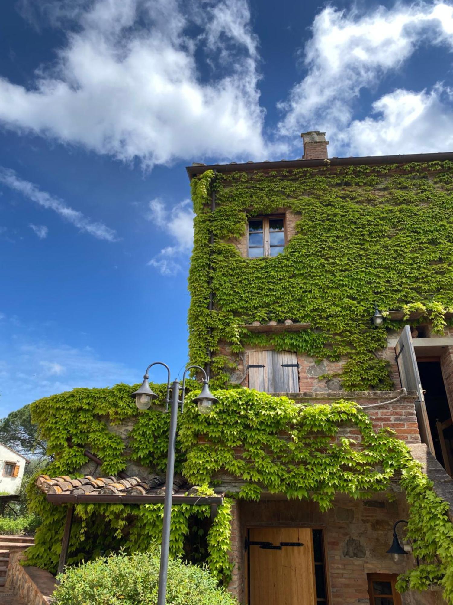 Agriturismo Borgo 7 Tigli - Apt 1 Montepulciano Exterior photo